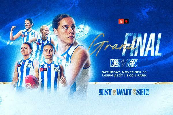 AFLW Grand Final Hero Image 2024